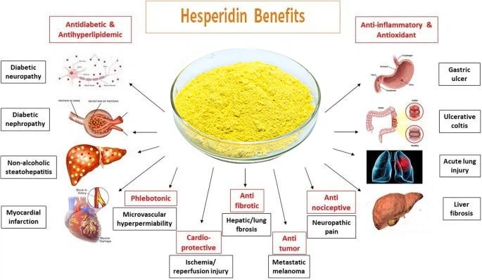 Methylhesperidin